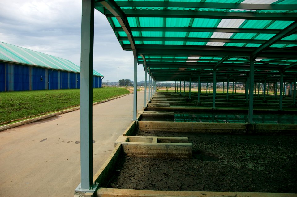 Unplanted faecal sludge drying beds