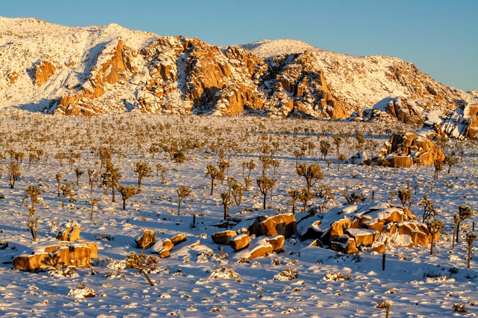 Snow in Lost Horse Valley