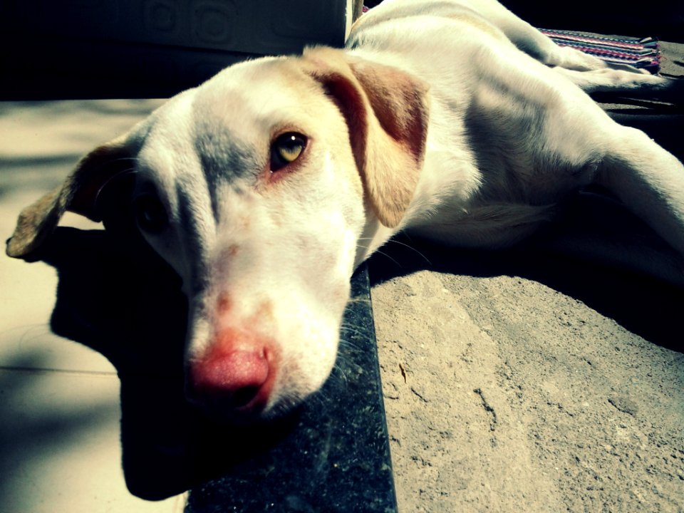 The sun in her eyes