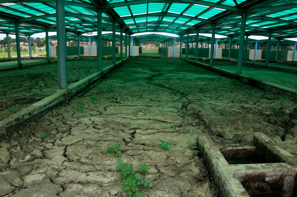 Unplanted drying bed