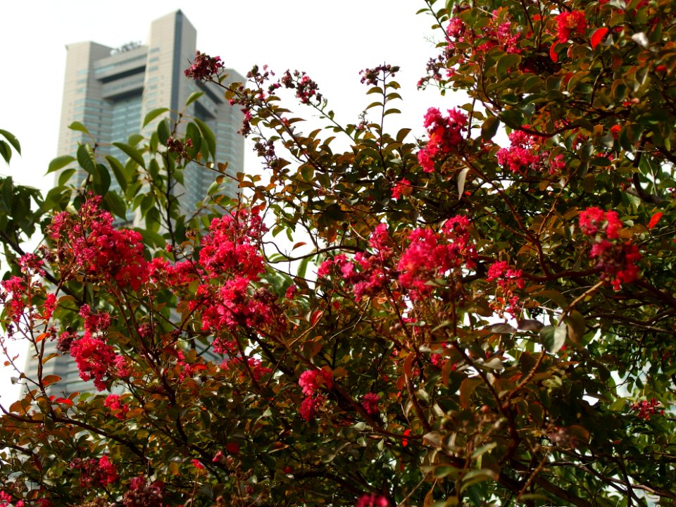 140919-131638-P9190784
