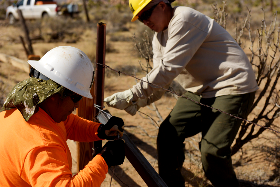 SCC Restoration at Keys Ranch