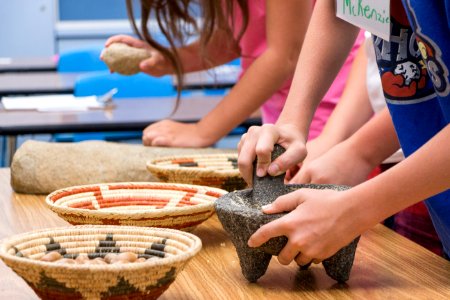 GATE (Gifted and Talented Education) students grind acorns