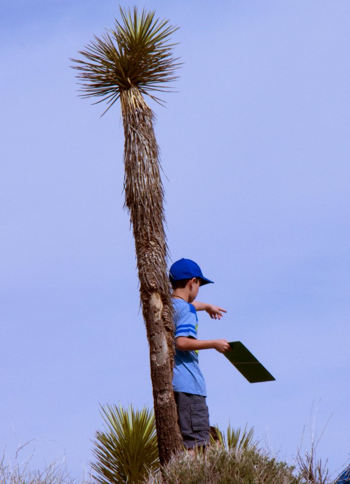 Student at an Educational Program