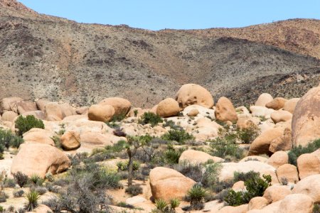 Boulders near White Tank Campground