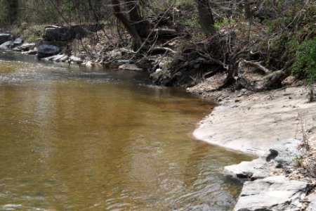 Paint Branch Creek
