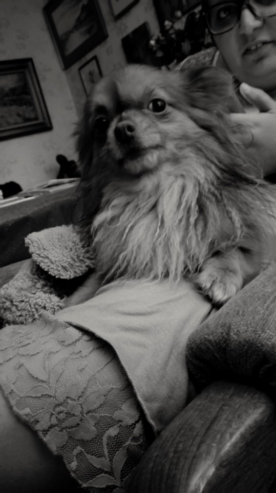 Besoin de tendresse