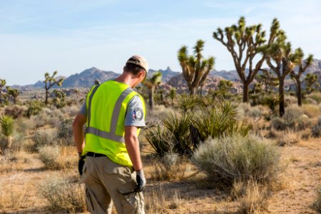 Volunteer in Lost Horse Valley
