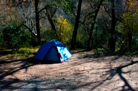 Fossil Springs Wilderness: Springs Area