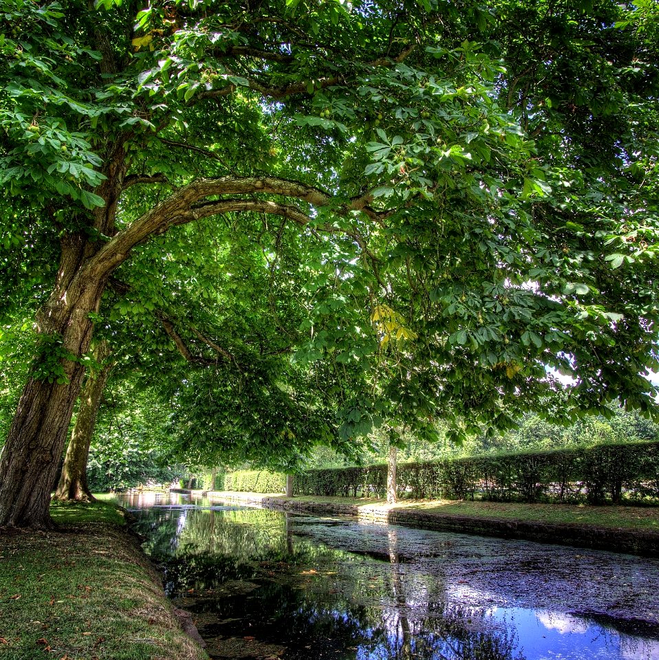 Parc du Chateau de Courances