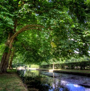 Parc du Chateau de Courances photo