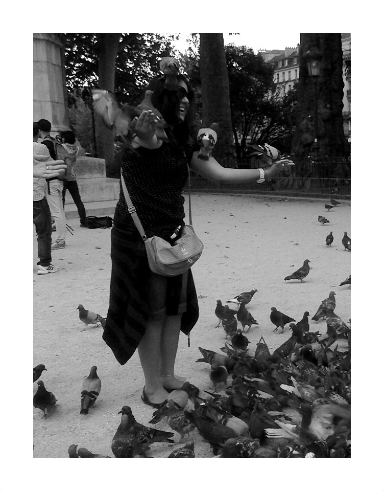 PIGEONS