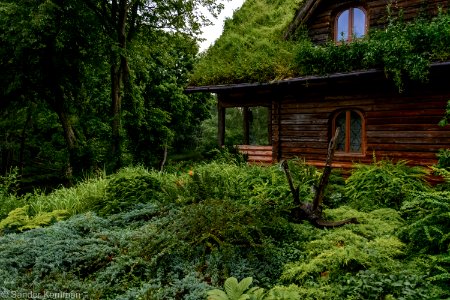 20170701- DSC0024.jpg