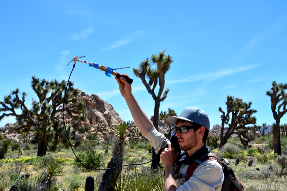 Tortoise Monitoring and Research