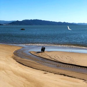 Praia do Balneário - Florianópolis - SC.