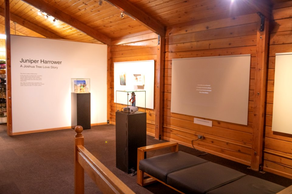 Black Rock Gallery: Juniper Harrower