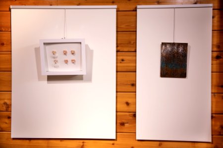 Black Rock Gallery: Juniper Harrower