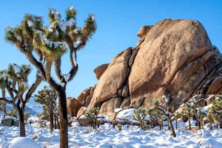 Snow at Cap Rock photo