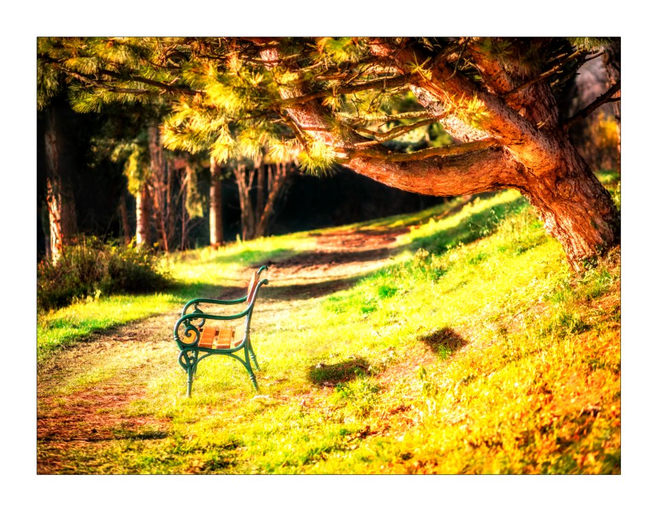 Invitation to a pause.