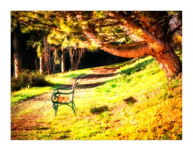Invitation to a pause.