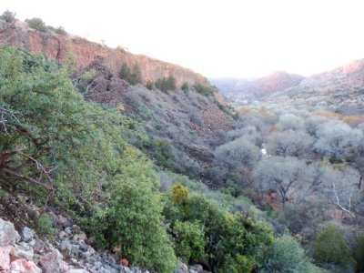Parsons Trail