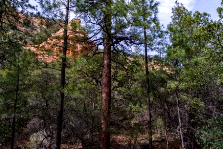 Loy Canyon Trail
