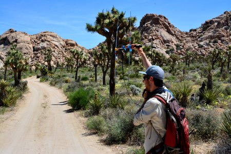 Tortoise Monitoring and Research