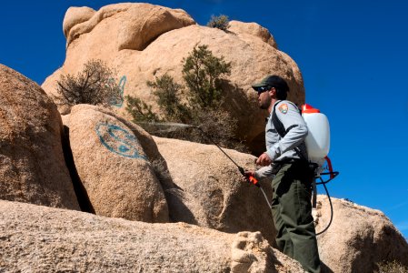 Ranger applying water to graffiti