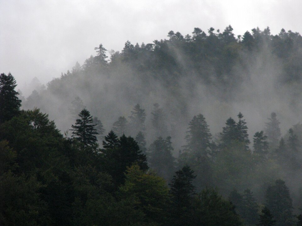Cold nature outdoor