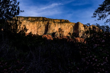 Loy Canyon Trail