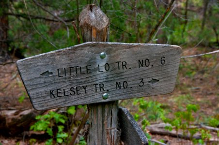 Little L.O. Trail No. 6