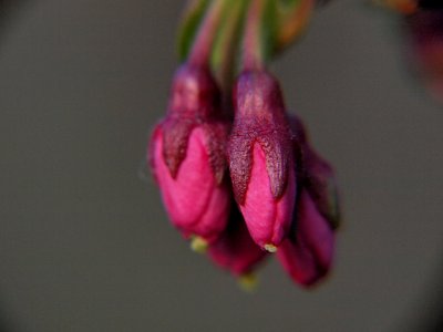 P3275033