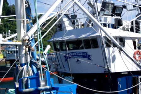Barcos Hondarribia