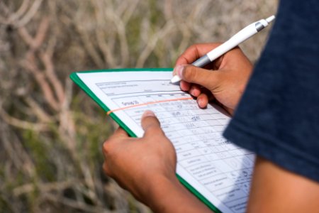 2017 Student Summit on Climate Change - Joshua tree Monitoring Project - Measurement data being recorded