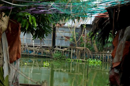 Water pollution