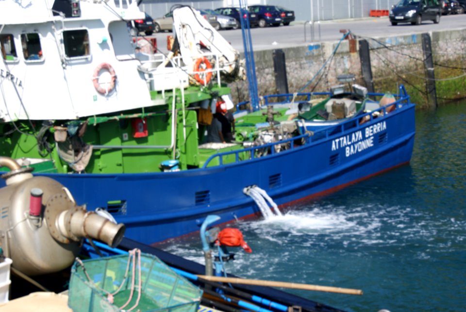Barcos Hondarribia