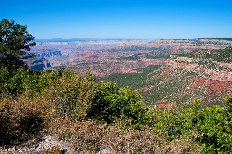 Grand Canyon North Rim