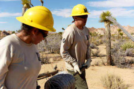 SCC Restoration at Keys Ranch