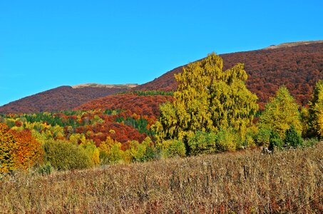 Nature panorama the prospect of