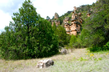Little L.O. Trail No. 6
