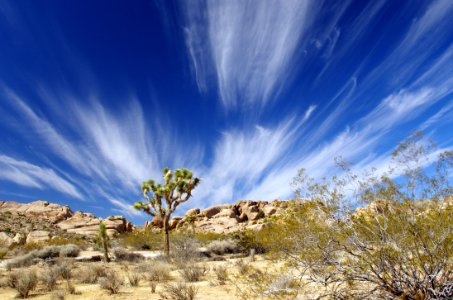 Wind and Clouds