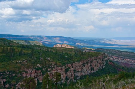 Saddle Mountain Trail