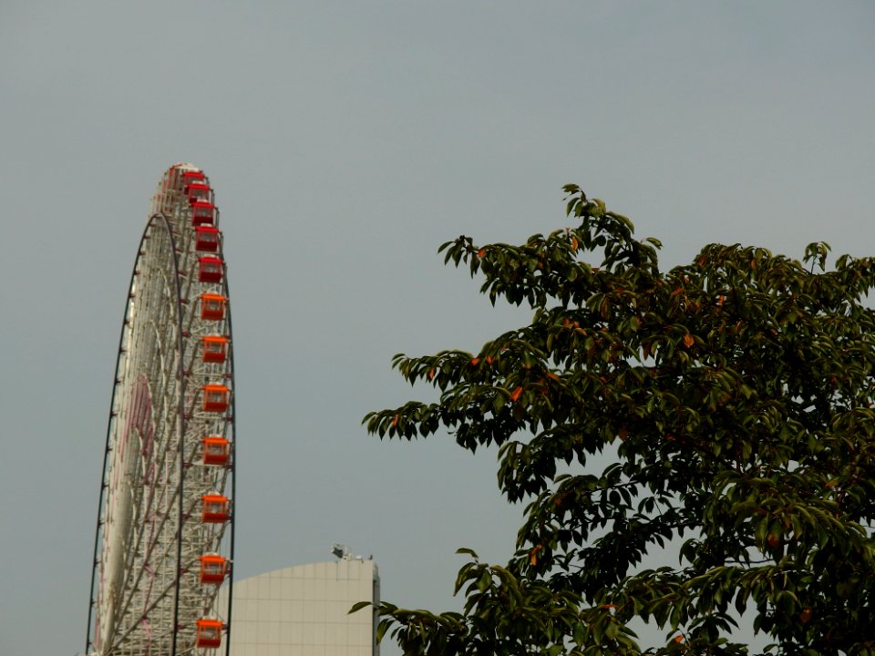 140919-131319-P9190776