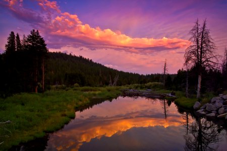 Little Truckee River