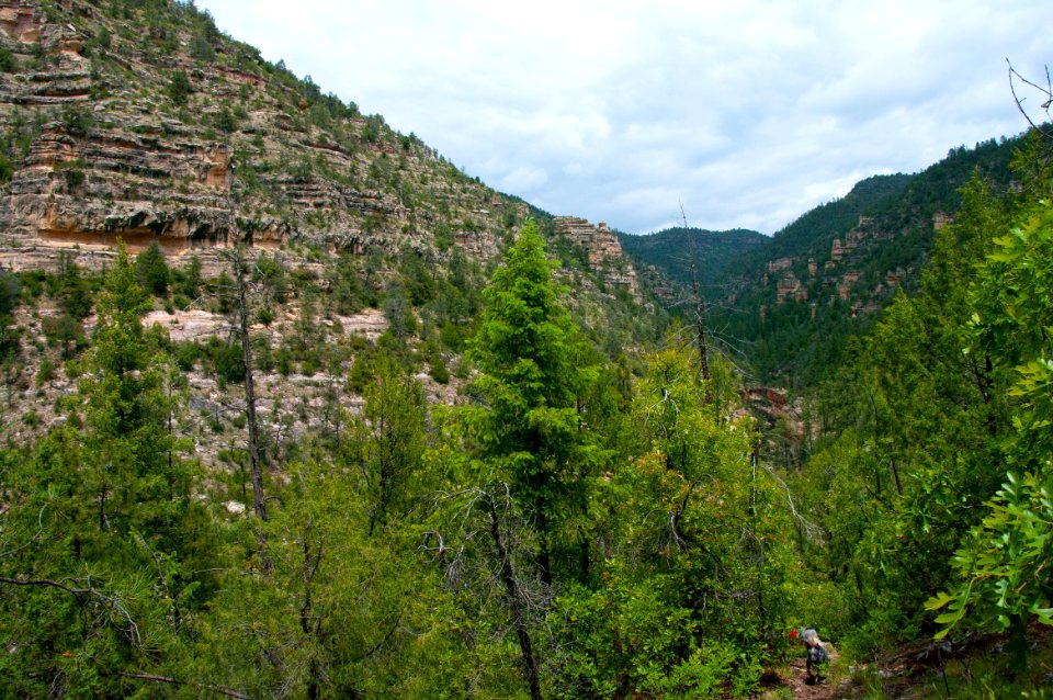 Little L.O. Trail No. 6