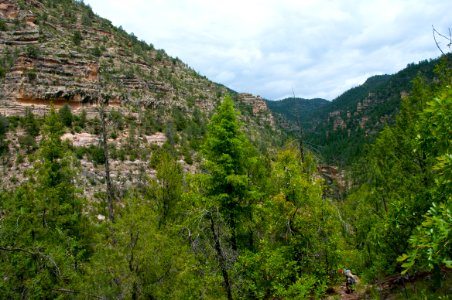 Little L.O. Trail No. 6