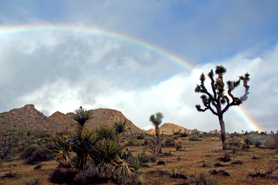 Rainbow on a stormy day