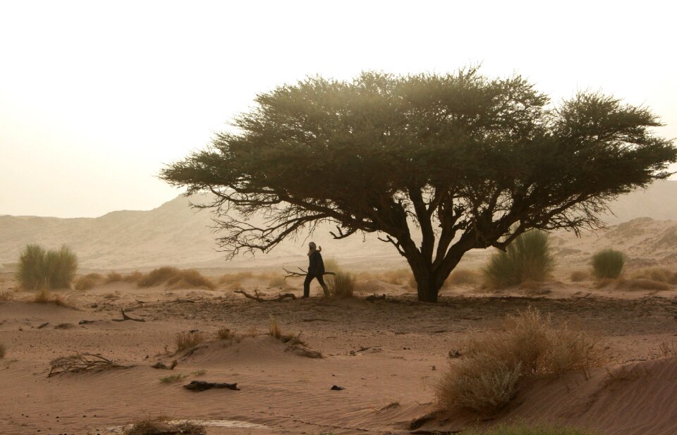 Touareg deadwood sandstorm