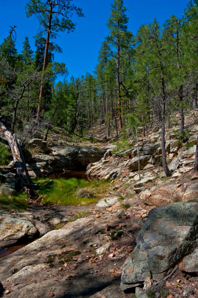 Secret Mountain Trail