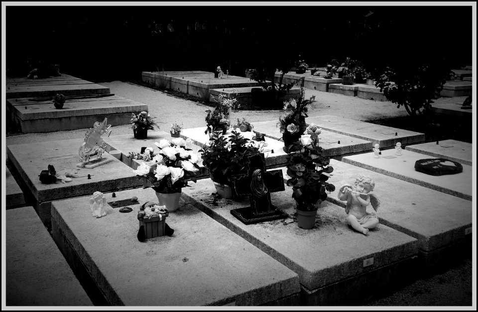 Angels - Petits anges